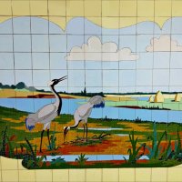 Живая природа! :: Надежда 