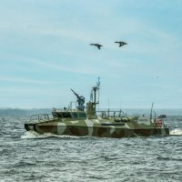 Про Питер :: Владимир Колесников