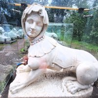 Сфинкс :: Наталья 