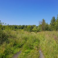 В летний полдень... :: Владимир Жданов В летний полдень... :: Владимир Жданов