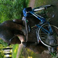 * * * :: Андрей Лукьянов * * * :: Андрей Лукьянов