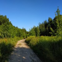 * * * :: Андрей Лукьянов