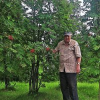 Июль...Скоро мои любимые рябины покраснеют! :: Владимир 