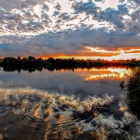 Яркое пробуждение! :: Елена Хайдукова  ( Elena Fly )