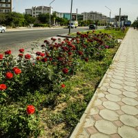 Актау :: Анатолий Чикчирный