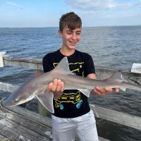 Удача! :: Светлана Хращевская