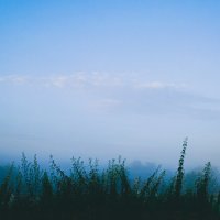 Пейзаж :: Sergei Vikulov