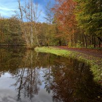 ---- :: igor G. ---- :: igor G.