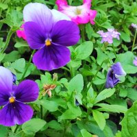 ,,, :: Сергей Тимоновский