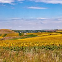 "-" :: Светлана Фокша