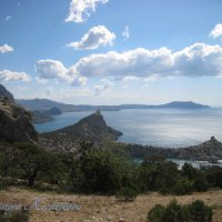 Природа Крыма :: Amazing Cosmea Природа Крыма :: Amazing Cosmea