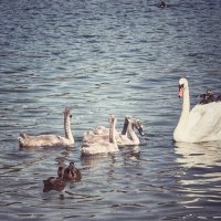 поверка :: Сергей Б.