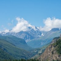 *** :: Николай Чекалин