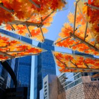 Краски города :: Dar(k) Life