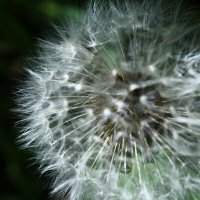 Воздушный :: Любовь Иванова