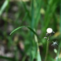 Без остатка :: Любовь Иванова