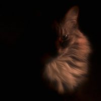 *** :: Сергей Сергеев