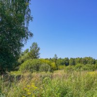 В летний полдень... :: Владимир Жданов