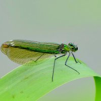 из сегодняшней съемки 1 :: Александр Прокудин