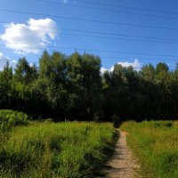 Июль уходит :: Андрей Лукьянов