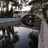 РЕКА СОЧИ :: Tata Wolf