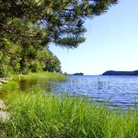 дикий пляж :: Ольга Cоломатина дикий пляж :: Ольга Cоломатина