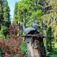 Прогулка по Зеленогорску. :: Ольга 