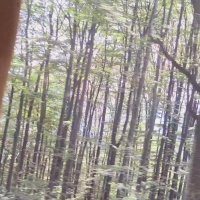 ЛЕ БО 4 (82) :: CLOSE WAYS ALL