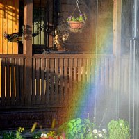 Радуга на своём огороде :: Татьяна Лютаева Радуга на своём огороде :: Татьяна Лютаева