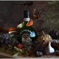 *** :: Aleksandr Gal