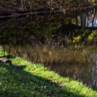 *** :: Владимир Безбородов *** :: Владимир Безбородов