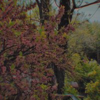 Весна. :: Ильич -