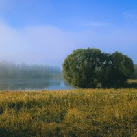 Шёл, шёл и сердечко нашёл ;-) :: Sergei Vikulov