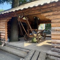 На хозяйственном дворе... :: Наталия Павлова