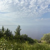 Озеро "Ильмень" :: Наталия Павлова