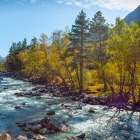 река Кубань :: Аnatoly Gaponenko река Кубань :: Аnatoly Gaponenko