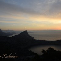 Природа Крыма :: Amazing Cosmea