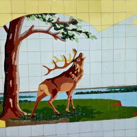 Одинокий! :: Надежда 