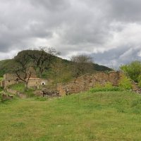 *** :: Марина Виноградова