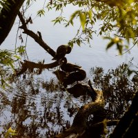 * :: k-e-r-g-u-d-u DM