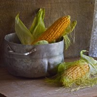 Кукуруза :: Наталья S