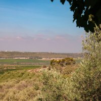 Долина Сорек. :: Argaman Табашник