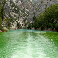 Из бирюзовой в зелёную :: Юрий. Шмаков