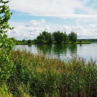 Смоленщина в конце июля. :: Милешкин Владимир Алексеевич Смоленщина в конце июля. :: Милешкин Владимир Алексеевич