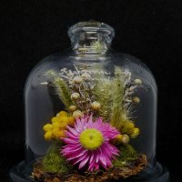 Натюрморт. Сухоцветы. :: Любимова Ольга 