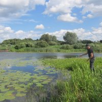 за городом :: Елена Шаламова