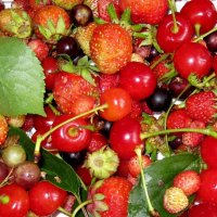 панно :: Галина Флора панно :: Галина Флора