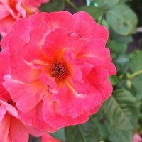 ,,, :: Сергей Тимоновский