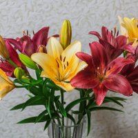 *** :: Виктор Иванович Чернюк *** :: Виктор Иванович Чернюк