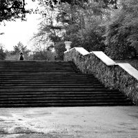 Уходящая натура :: Мишель71 